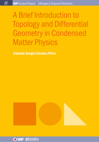 Cover image: A Brief Introduction to Topology and Differential Geometry in Condensed Matter Physics 1st edition 9781643273716
