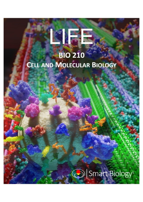 Cover image for book Smart Biology | Albion College | BIO 210 | Cell and Molecular Biology