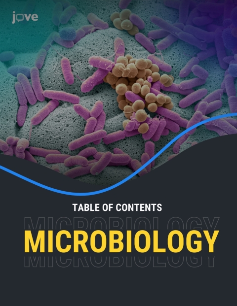 Cover image for book Microbiology for Albion College