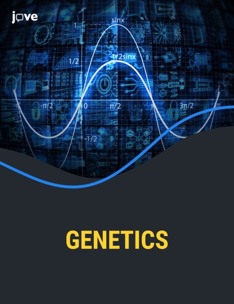 Cover image for book Genetics for Spalding University