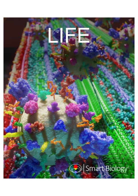 Cover image for book Smart Biology | University of Colorado, Colorado Springs (UCCS) | BIOL 1350 | Cell Biology