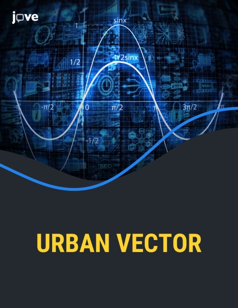 Cover image for book Urban Vector for Florida International University
