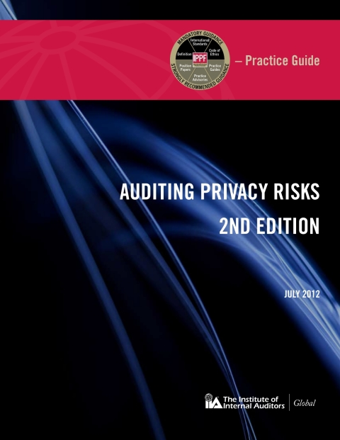Cover image for book Practice Guide: Auditing Privacy Risks