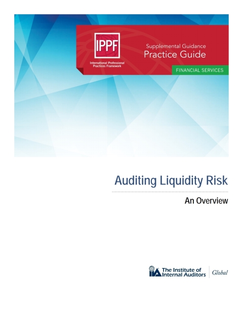 Cover image for book Practice Guide: Auditing Liquidity Risk: An Overview
