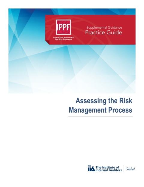 Cover image for book Practice Guide: Assessing the Risk Management Process
