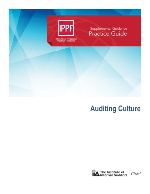 Cover image for book Practice Guide: Auditing Culture