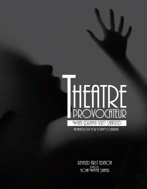Cover image for book Theatre Provocateur