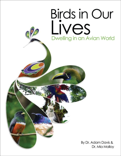 Cover image for book Birds in Our Lives