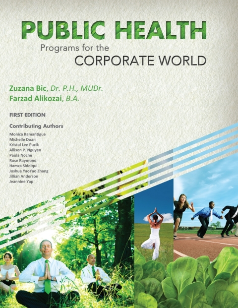 Cover image for book Public Health Programs for the Corporate World