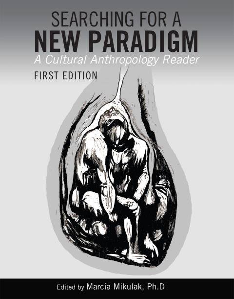 Cover image for book Searching for a New Paradigm