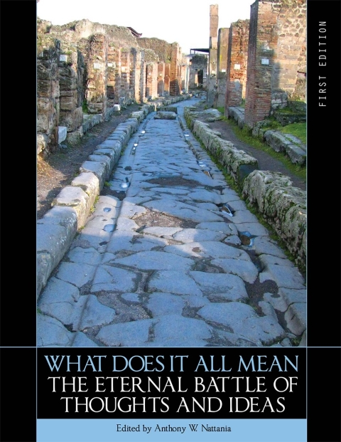Cover image for book What Does it All Mean