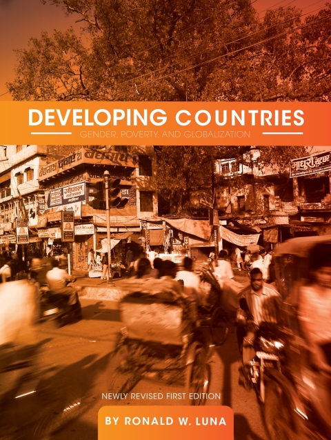 Cover image for book Developing Countries