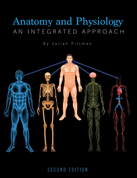 Cover image for book Anatomy and Physiology