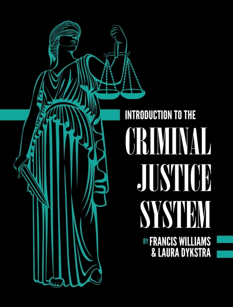Cover image for book Introduction to the Criminal Justice System