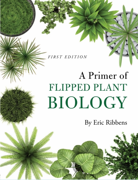 Cover image for book A Primer of Flipped Plant Biology