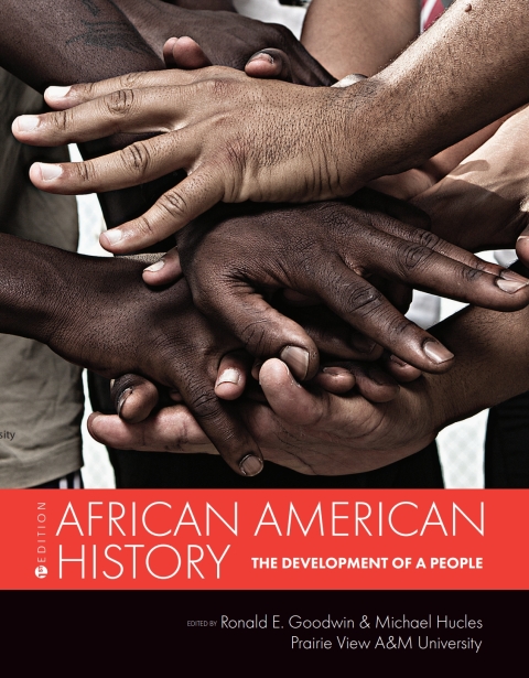 Cover image for book African American History