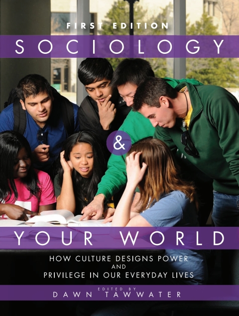Cover image for book Sociology and Your World