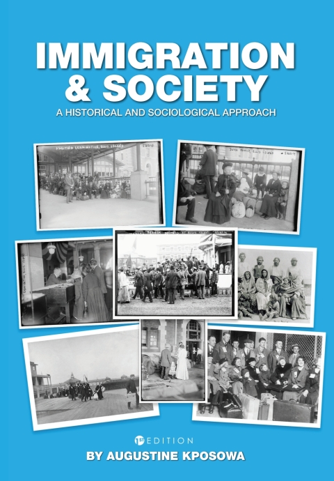 Cover image for book Immigration and Society