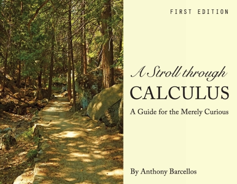 Cover image for book A Stroll through Calculus