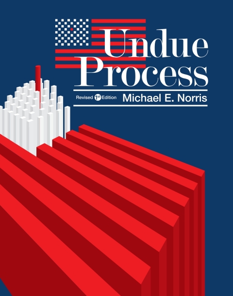 Cover image for book Undue Process