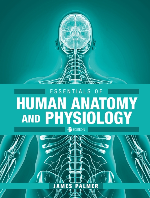 Cover image for book Essentials of Human Anatomy and Physiology