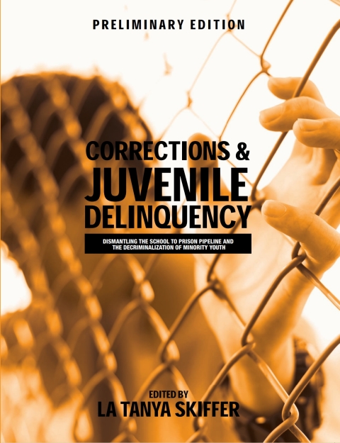 Cover image for book Corrections and Juvenile Delinquency