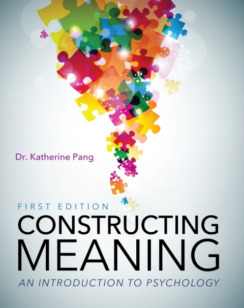 Cover image for book Constructing Meaning
