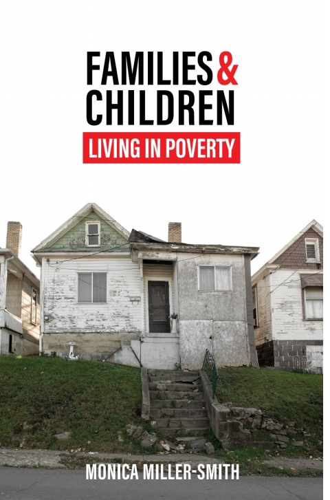Cover image for book Families and Children Living in Poverty