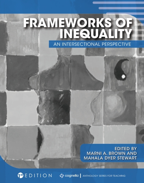 Cover image for book Frameworks of Inequality