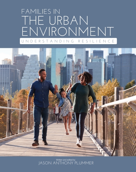 Cover image for book Families in the Urban Environment