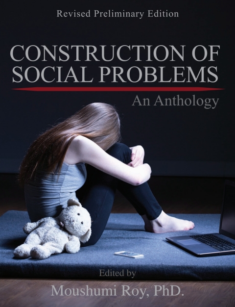 Cover image for book Construction of Social Problems