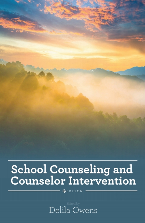 Cover image for book School Counseling and Counselor Intervention