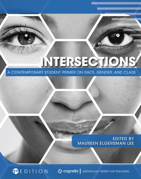 Cover image for book Intersections