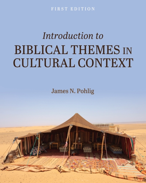 Cover image for book Introduction to Biblical Themes in Cultural Context