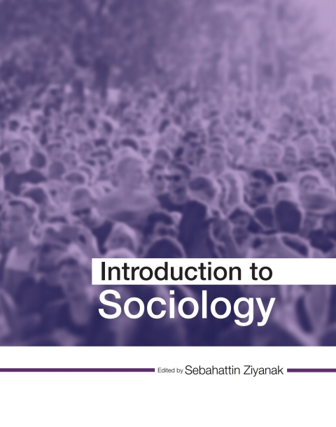 Cover image for book Introduction to Sociology