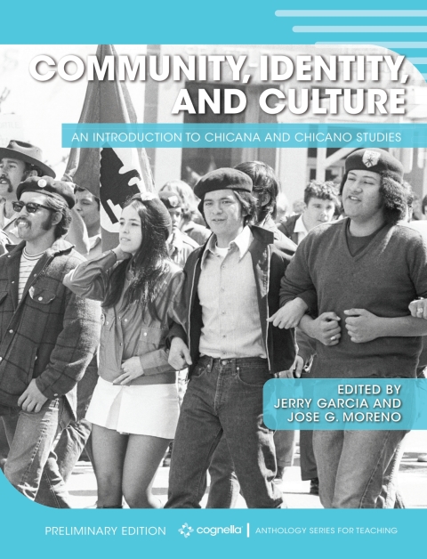 Cover image for book Community, Identity, and Culture
