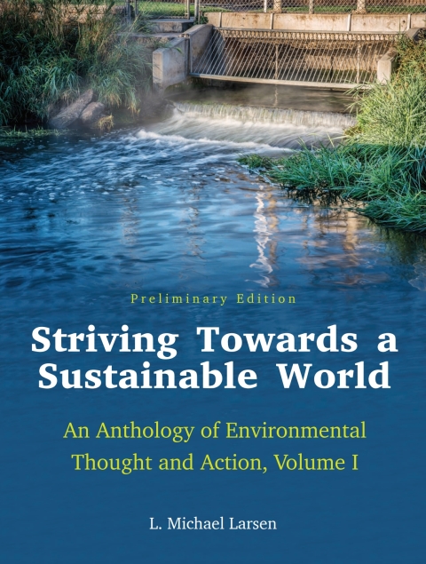 Cover image for book Striving Towards a Sustainable World