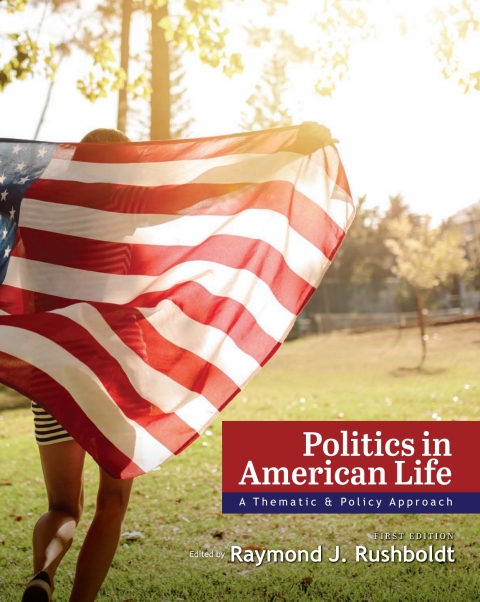 Cover image for book Politics in American Life