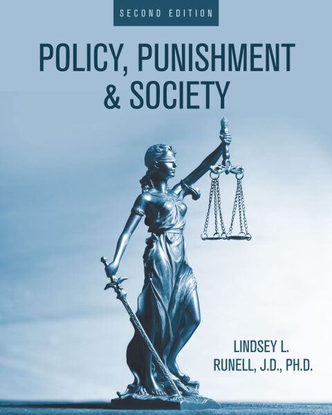Cover image for book Policy, Punishment, and Society