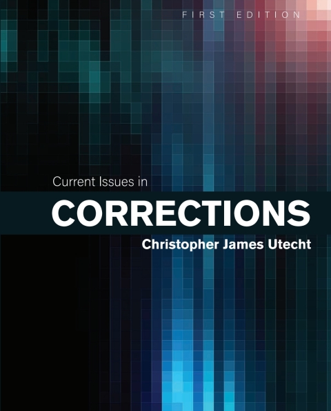 Cover image for book Current Issues in Corrections