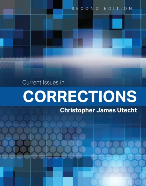 Cover image for book Current Issues in Corrections