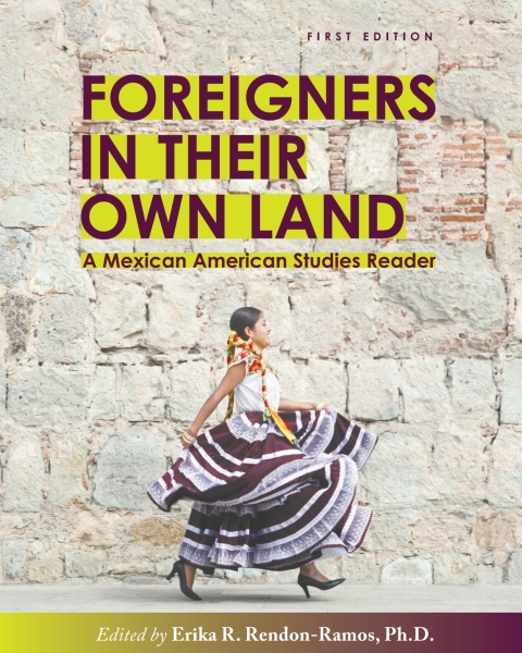 Cover image for book Foreigners in their Own Land