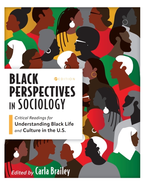 Cover image for book Black Perspectives in Sociology