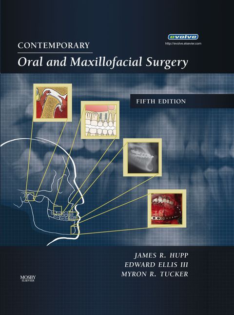 Cover image for book Introducción a la Macroeconomía