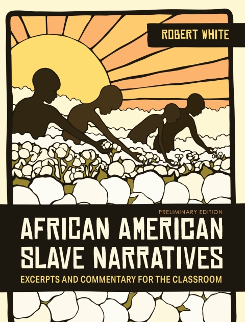 Cover image for book African American Slave Narratives