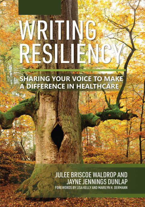 Cover image for book Writing Resiliency