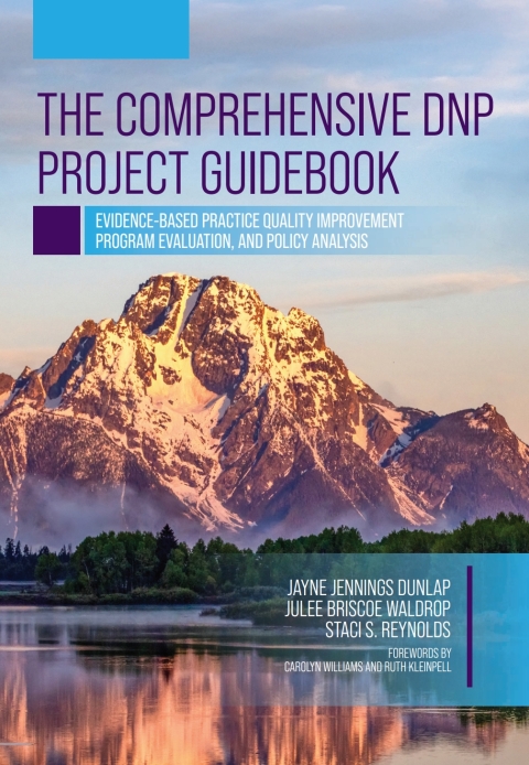 Cover image for book The Comprehensive DNP Project Guidebook