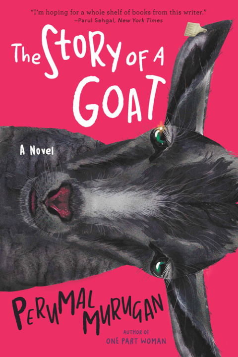 Cover image for book The Story of a Goat