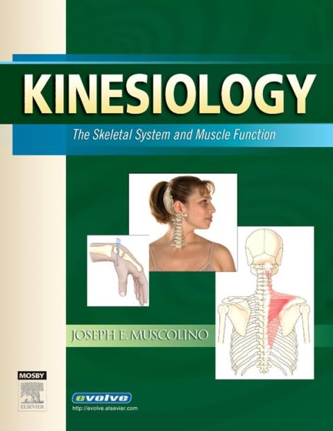Cover image for book Kinesiology: The Skeletal System and Muscle Function