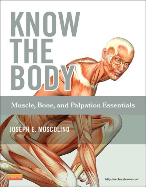Cover image for book Know the Body: Muscle, Bone, and Palpation Essentials